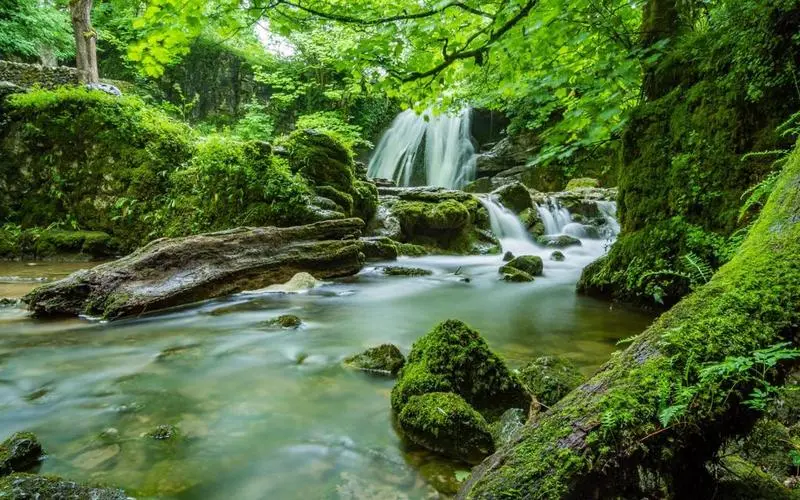 高效绿色